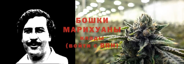 дмт Арсеньев