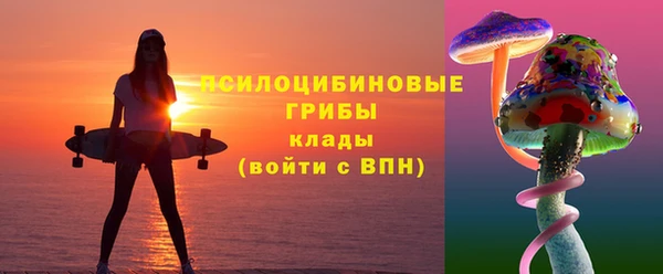 винт Аркадак