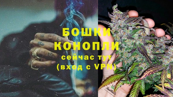 винт Аркадак