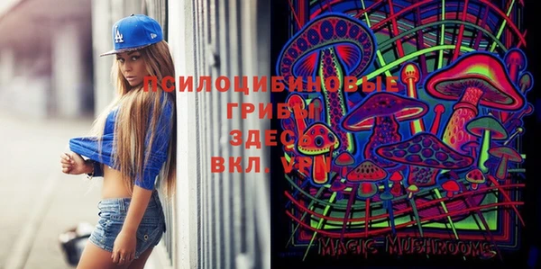 мдпв Армянск