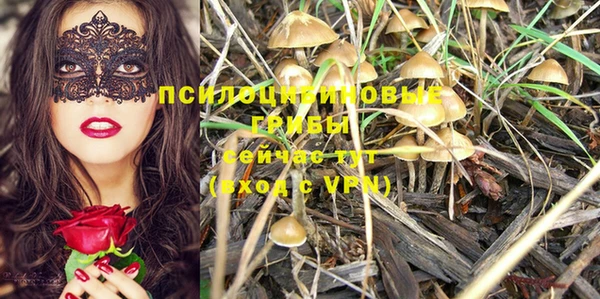 винт Аркадак