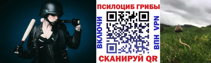 что такое   Новый Уренгой  Псилоцибиновые грибы MAGIC MUSHROOMS 